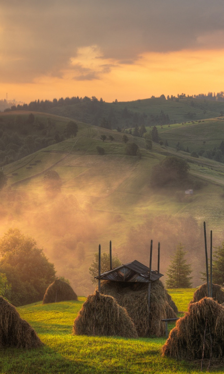 Sfondi Autumn in Ukraine 768x1280