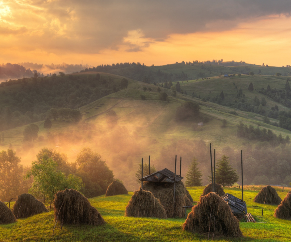 Обои Autumn in Ukraine 960x800