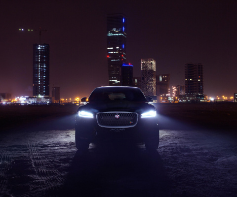 Jaguar F Pace screenshot #1 480x400