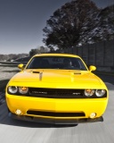 Screenshot №1 pro téma Dodge Challenger SRT8 392 128x160