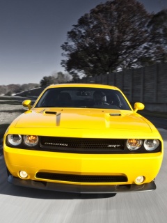Screenshot №1 pro téma Dodge Challenger SRT8 392 240x320