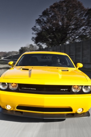 Screenshot №1 pro téma Dodge Challenger SRT8 392 320x480