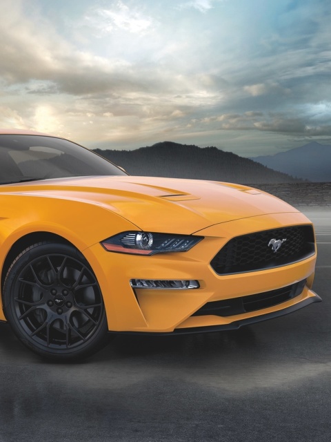 Обои Ford Mustang Coupe 480x640