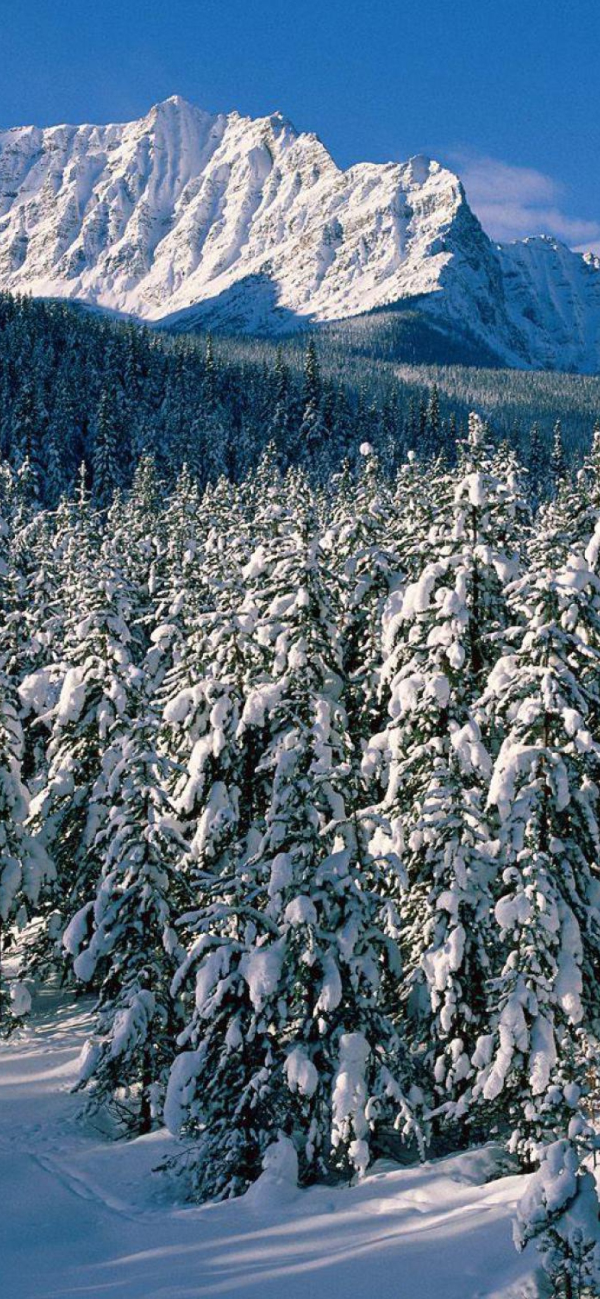 Canada's Winter screenshot #1 1170x2532