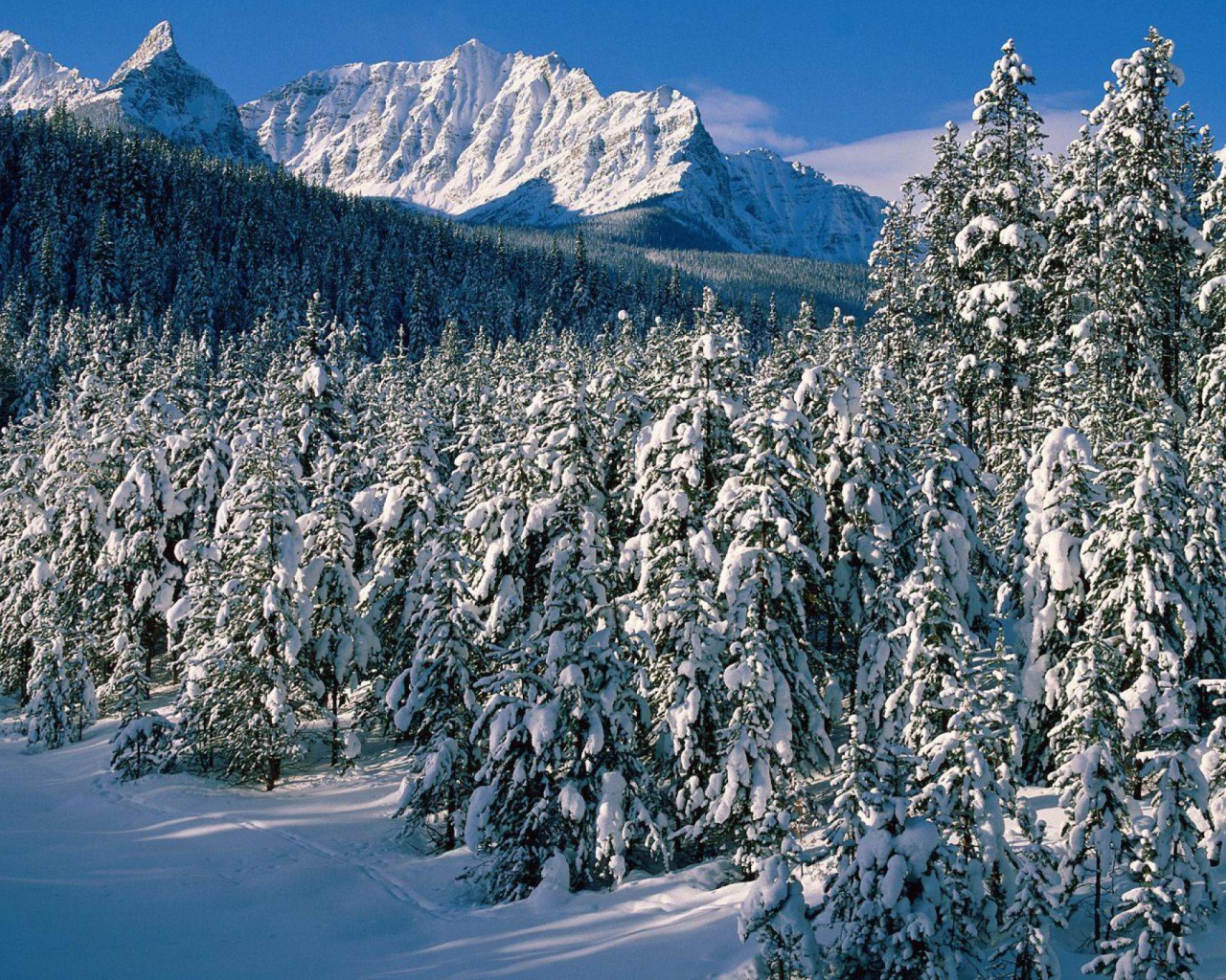 Canada's Winter wallpaper 1280x1024