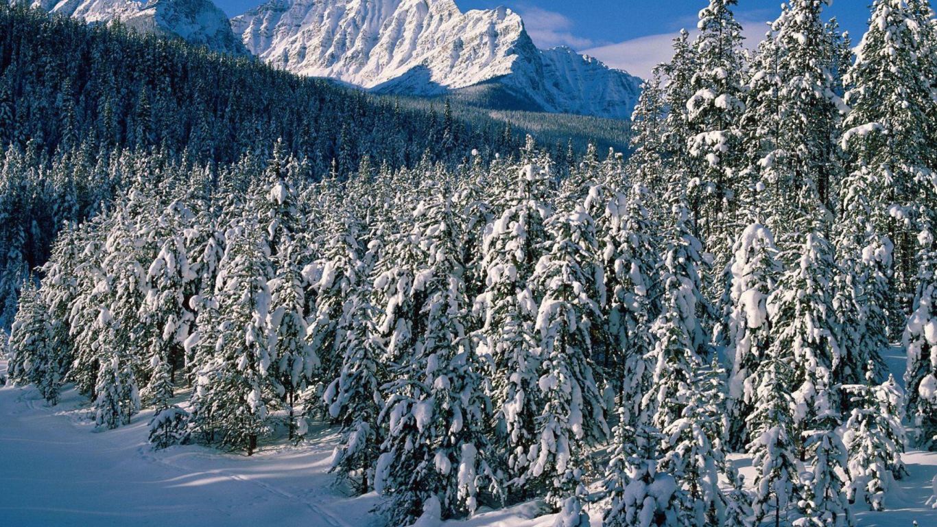 Sfondi Canada's Winter 1366x768