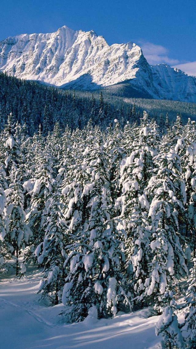 Canada's Winter wallpaper 640x1136