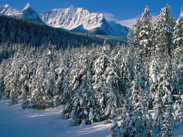 Das Canada's Winter Wallpaper 640x480