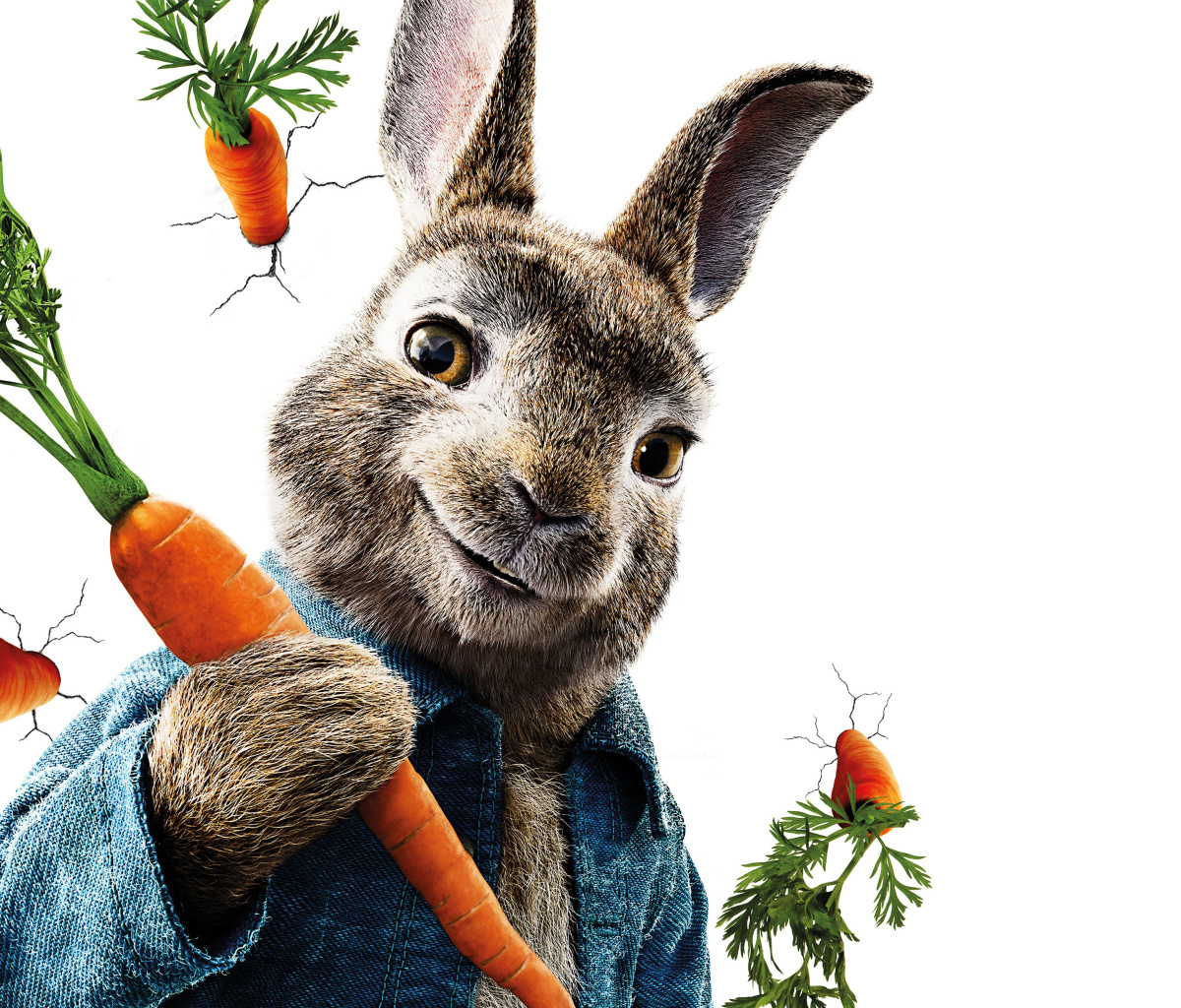 Обои Peter Rabbit 2018 1200x1024