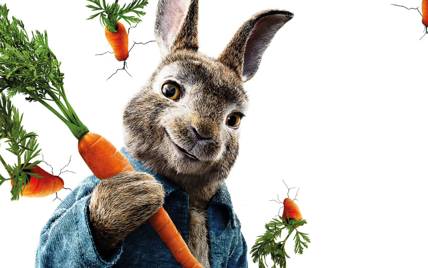 Обои Peter Rabbit 2018 1440x900