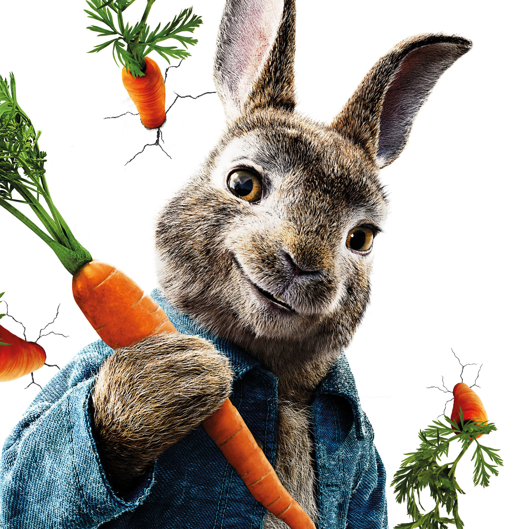 Peter Rabbit 2018 wallpaper 2048x2048