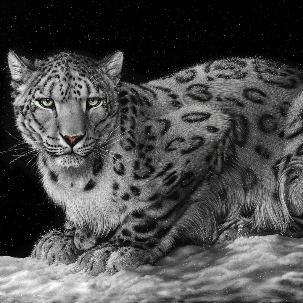 Fondo de pantalla Snow Leopard 1024x1024