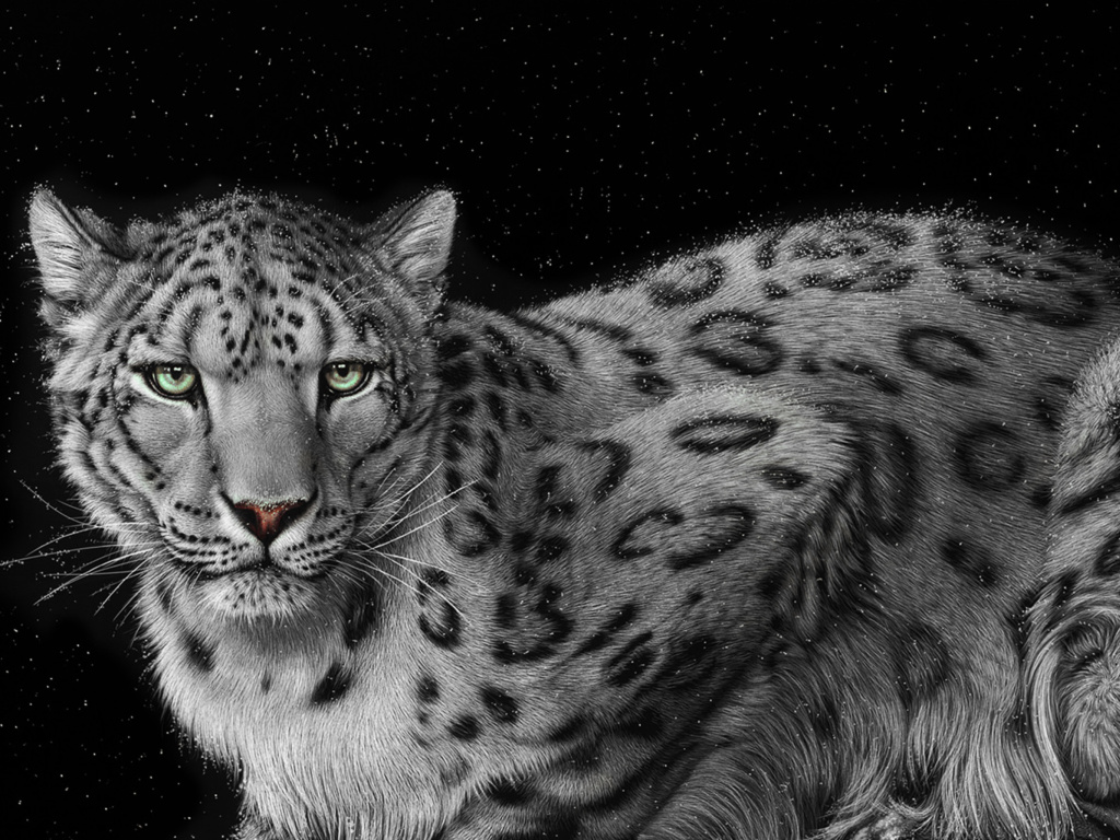Snow Leopard wallpaper 1024x768