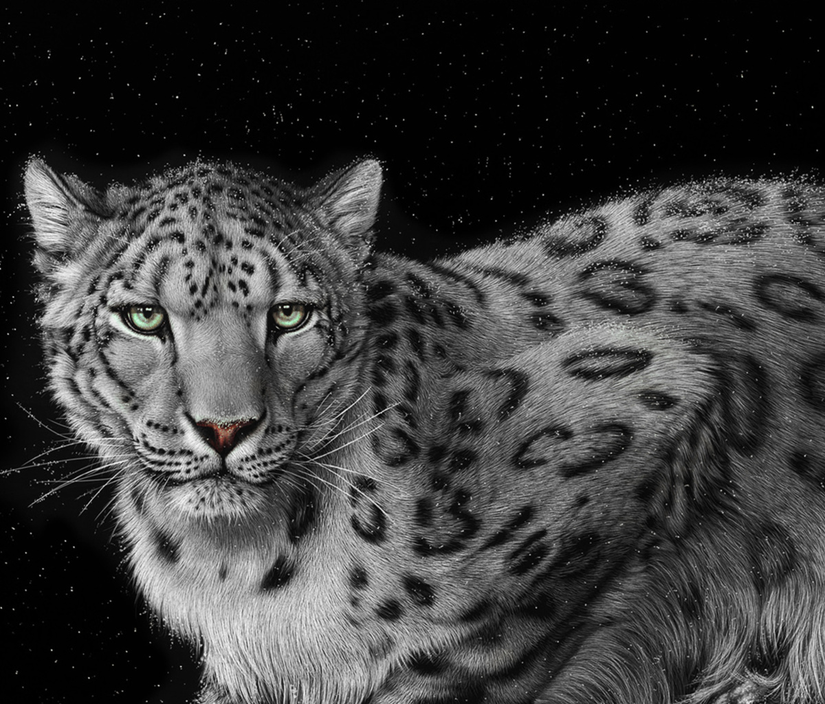 Snow Leopard wallpaper 1200x1024