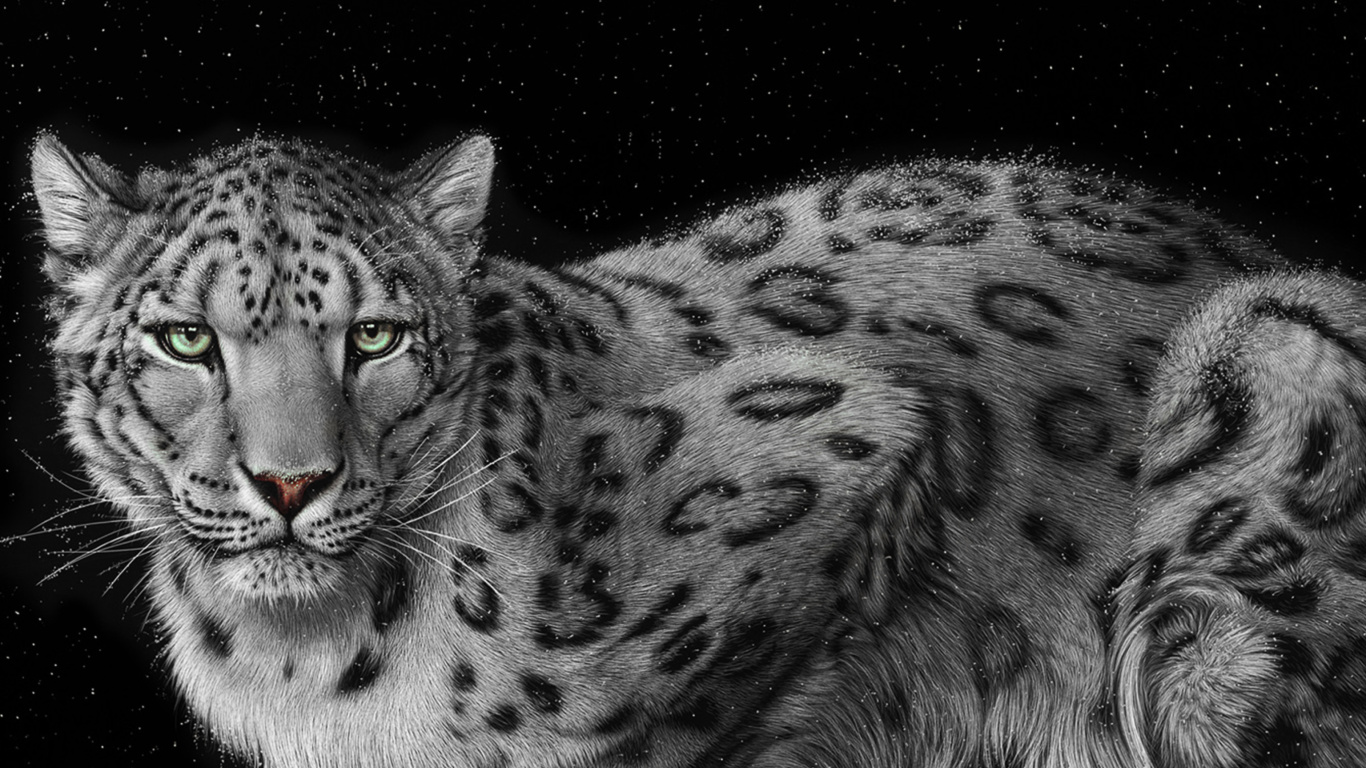 Snow Leopard screenshot #1 1366x768