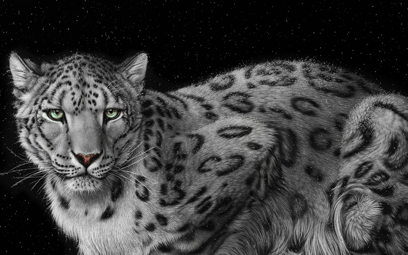 Screenshot №1 pro téma Snow Leopard 1680x1050