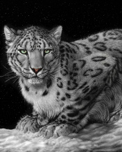 Обои Snow Leopard 176x220