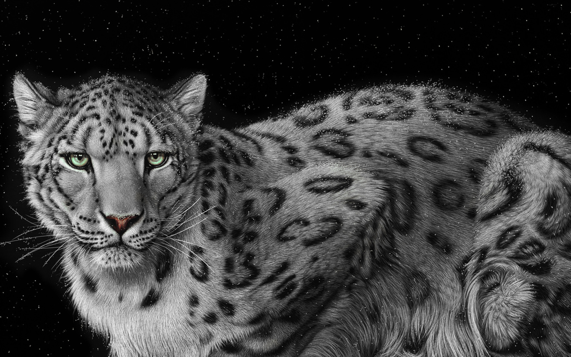 Обои Snow Leopard 1920x1200