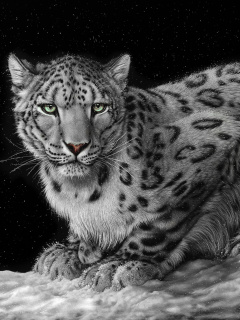 Das Snow Leopard Wallpaper 240x320
