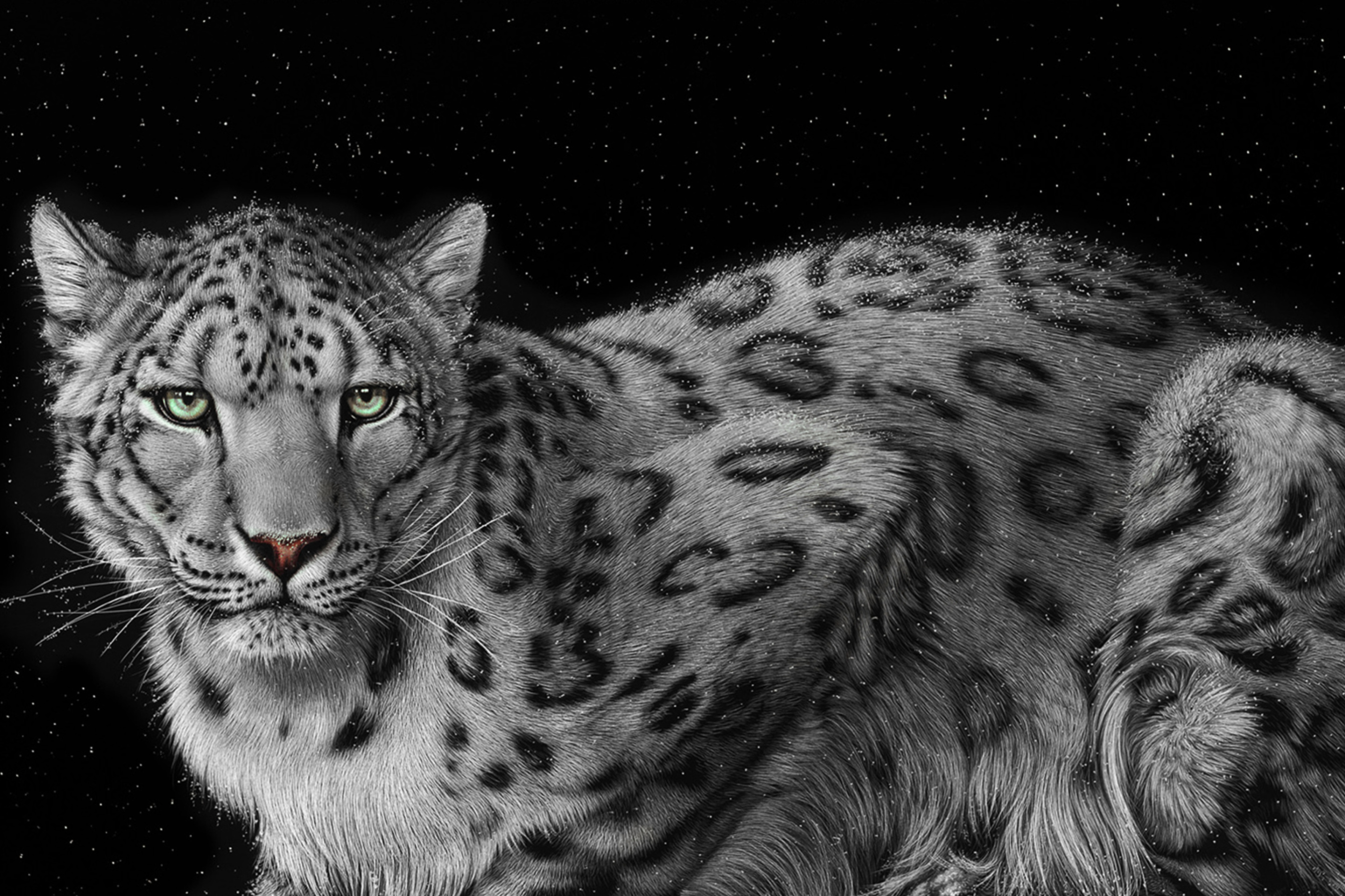 Snow Leopard wallpaper 2880x1920