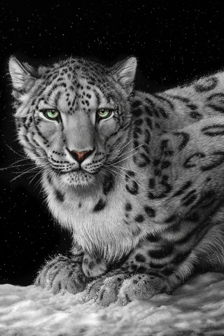 Snow Leopard wallpaper 320x480