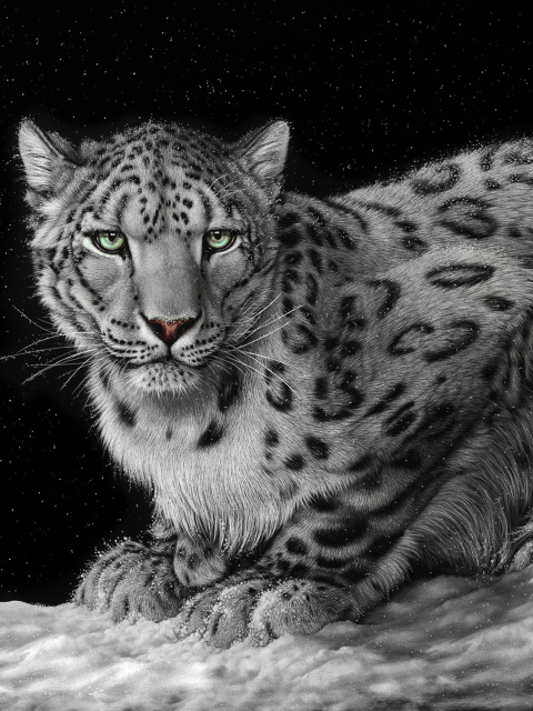 Snow Leopard wallpaper 480x640