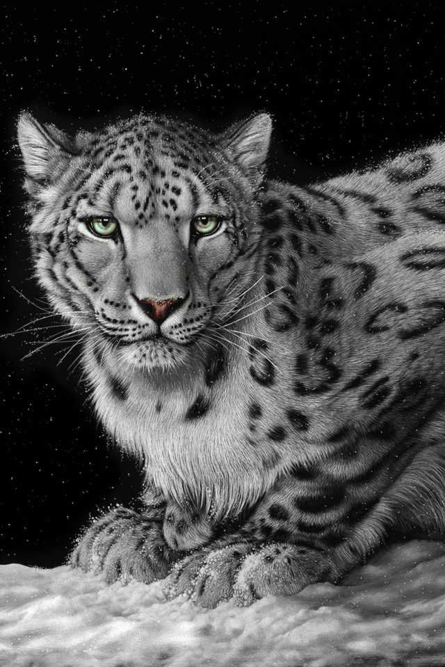 Snow Leopard wallpaper 640x960