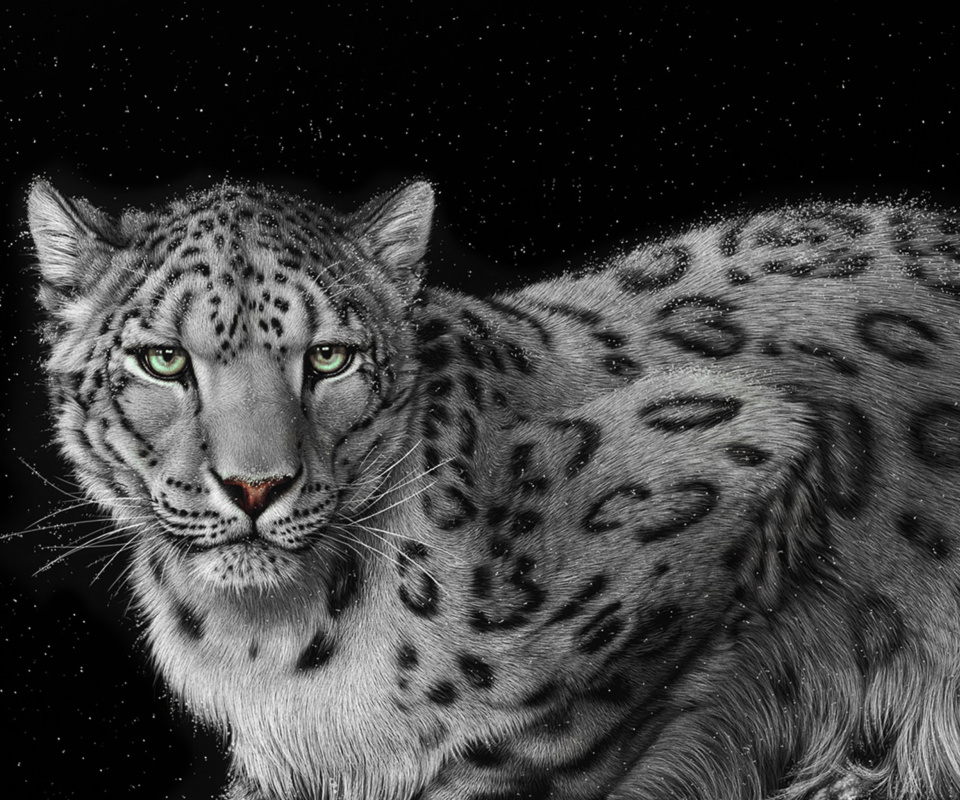 Snow Leopard screenshot #1 960x800