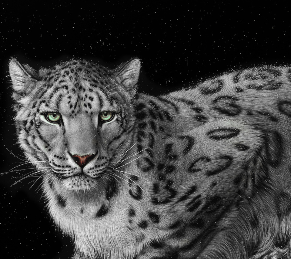 Snow Leopard wallpaper 960x854