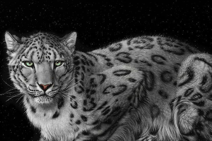 Fondo de pantalla Snow Leopard