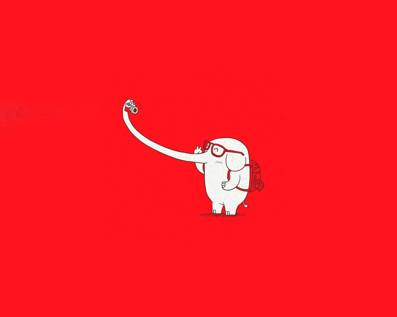 Fondo de pantalla Elephant On Red Backgrpund 1280x1024