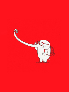 Das Elephant On Red Backgrpund Wallpaper 240x320