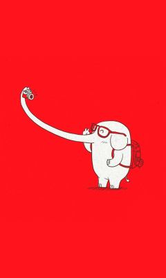 Das Elephant On Red Backgrpund Wallpaper 240x400