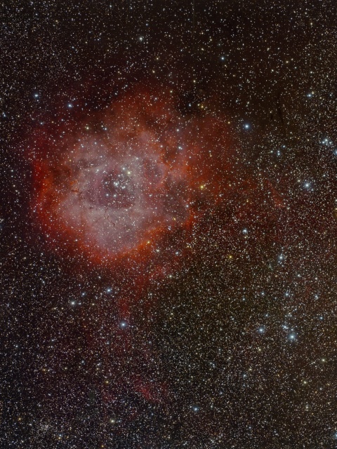 Обои Andromeda Nebula 480x640