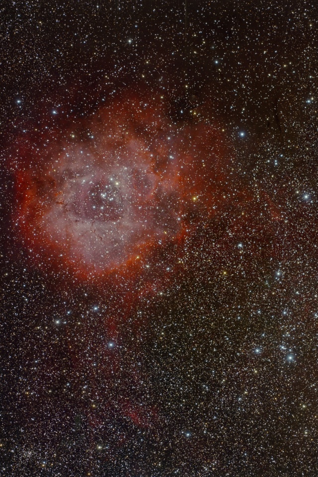 Sfondi Andromeda Nebula 640x960