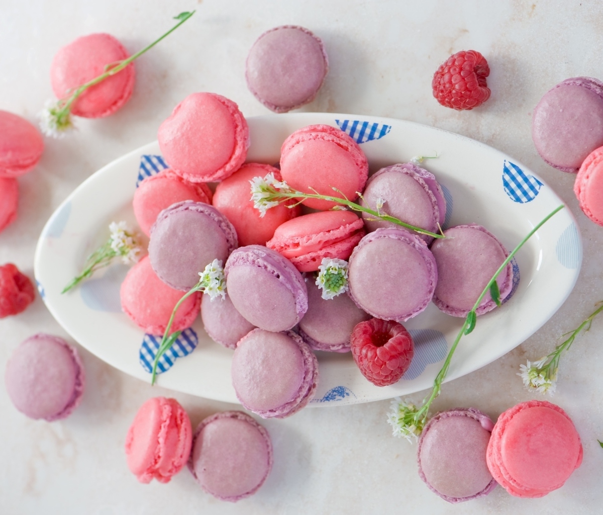 Pink Macarons wallpaper 1200x1024