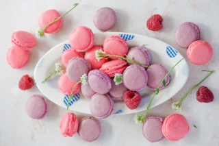 Pink Macarons Wallpaper for Android, iPhone and iPad