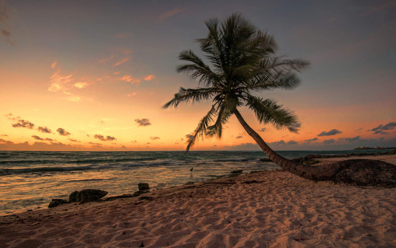 Обои Mexican Beach 1280x800