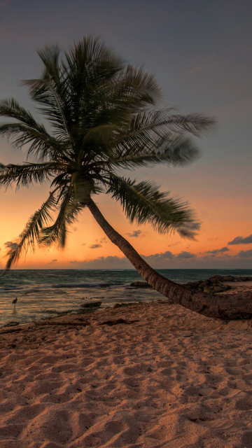 Mexican Beach wallpaper 360x640