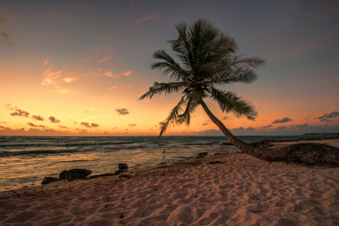 Fondo de pantalla Mexican Beach 480x320