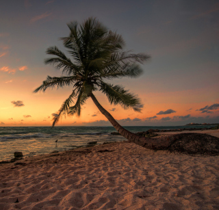 Mexican Beach - Obrázkek zdarma pro iPad mini 2
