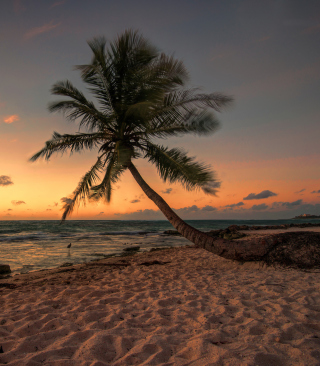 Mexican Beach - Obrázkek zdarma pro iPhone 5C