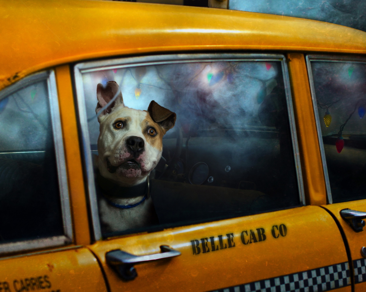Yellow Cab Dog wallpaper 1280x1024