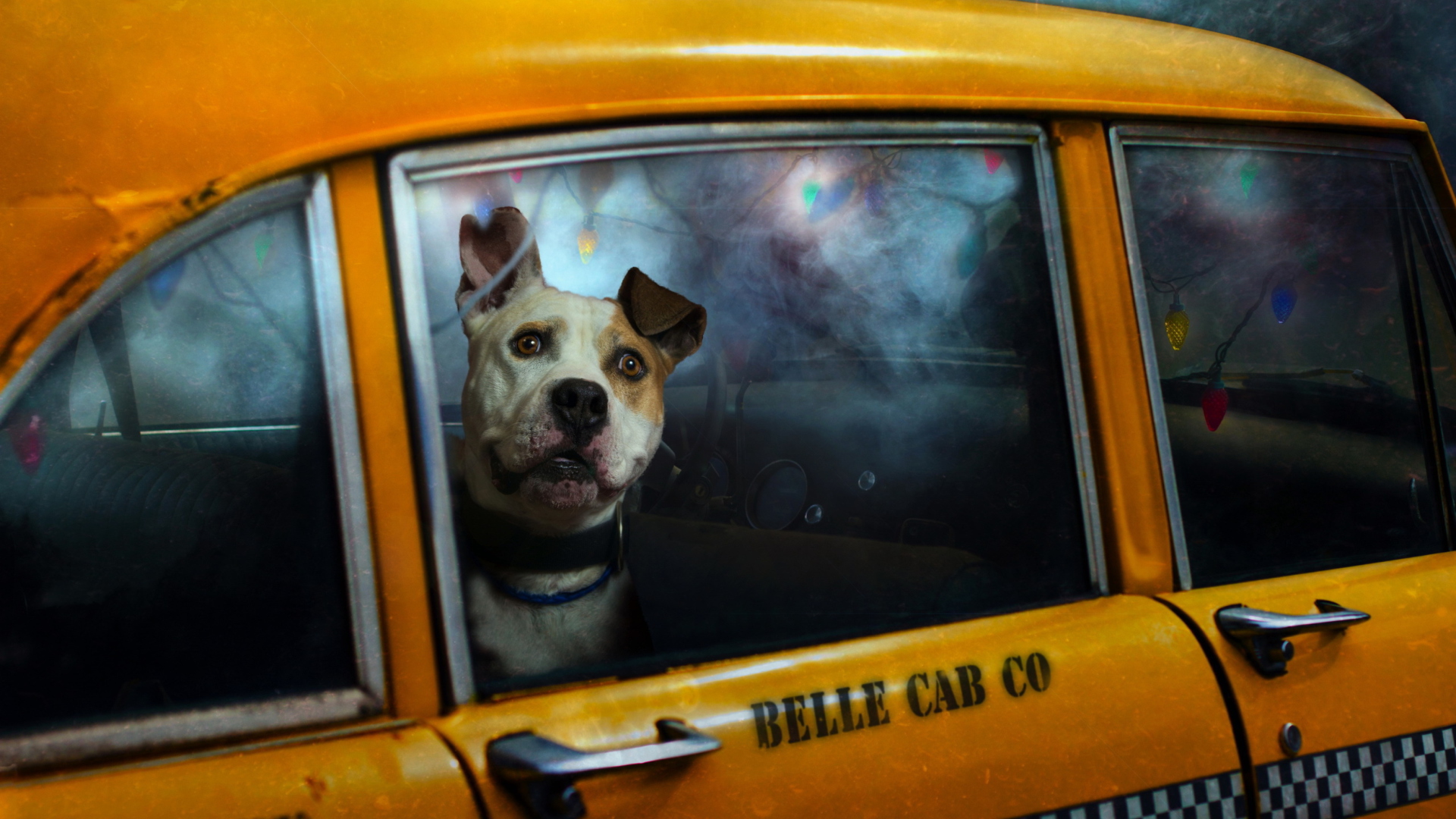 Fondo de pantalla Yellow Cab Dog 1920x1080