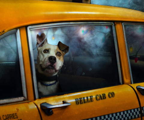 Das Yellow Cab Dog Wallpaper 480x400