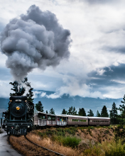 Sfondi Steam Train 176x220