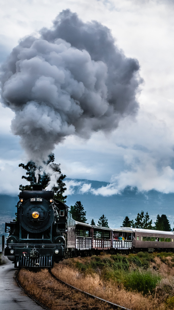 Обои Steam Train 360x640