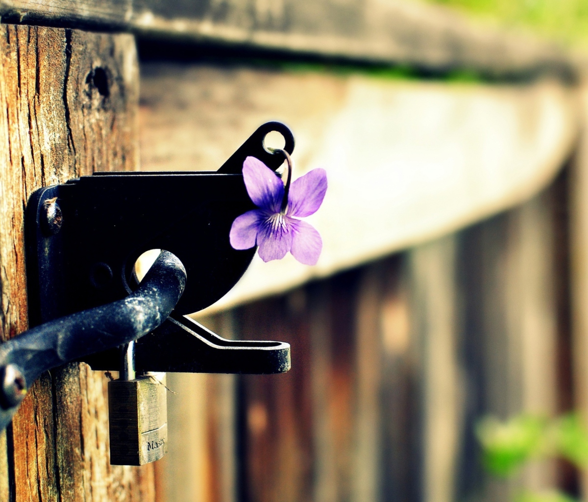 Fondo de pantalla Purple Flower Lock Door 1200x1024