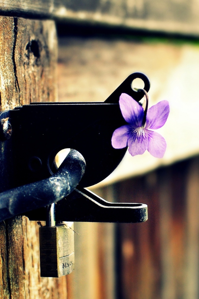 Das Purple Flower Lock Door Wallpaper 640x960