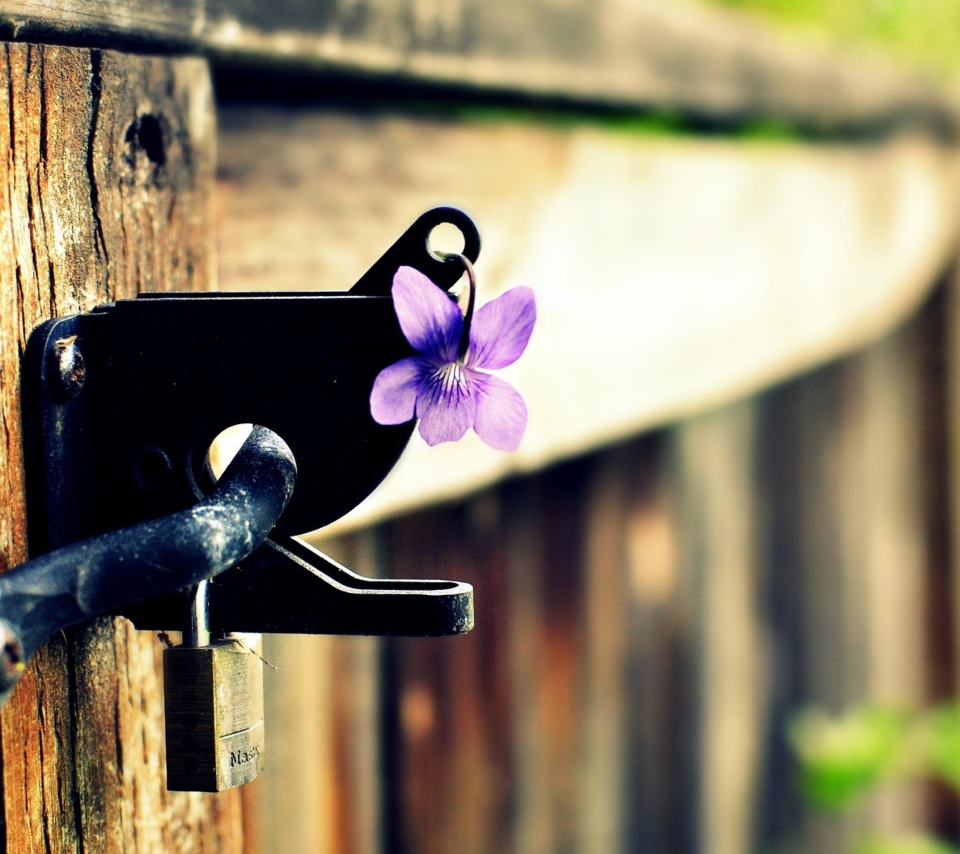 Das Purple Flower Lock Door Wallpaper 960x854